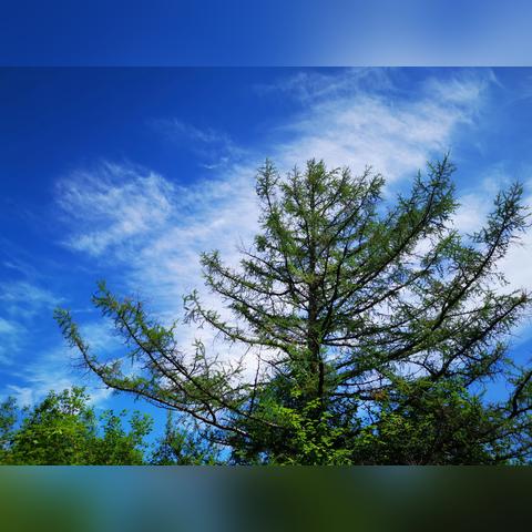 哈尔滨出发三天自驾游相关长尾关键词有哪些