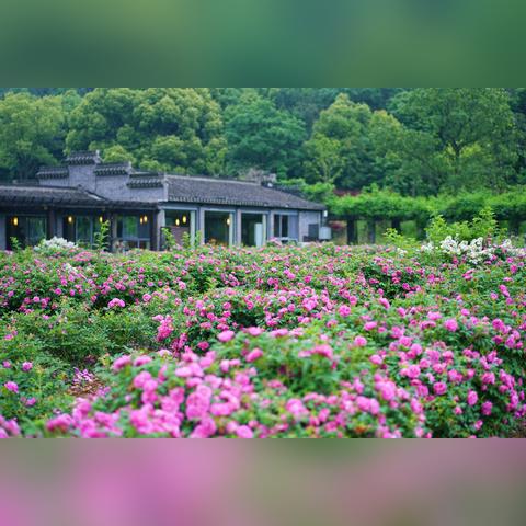 江苏无锡市烧烤的长尾关键词有哪些