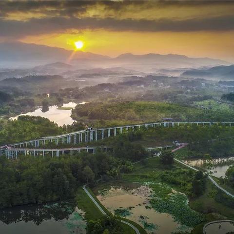 厦门星鹭文化的相关长尾关键词有哪些
