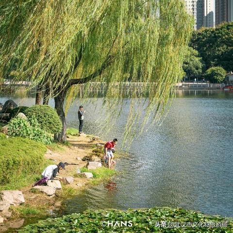 武汉市后湖有什么小学