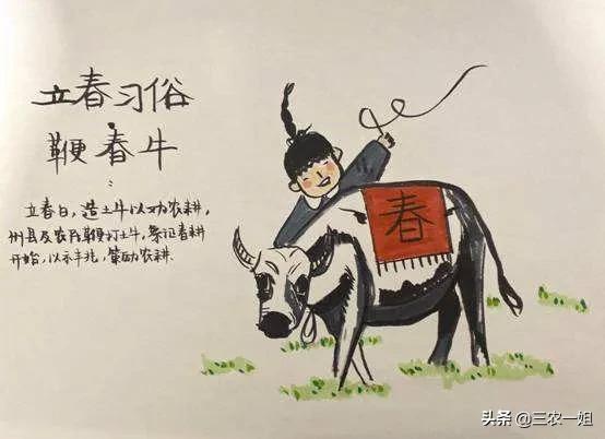虎年立春男宝宝起名怎么起(公元前211年是农历什么年)