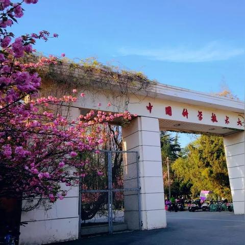 合肥市哪个区人口最多排名