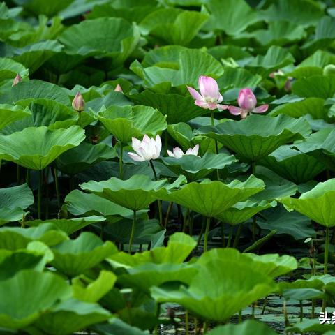 沈阳市科普公园属哪个区