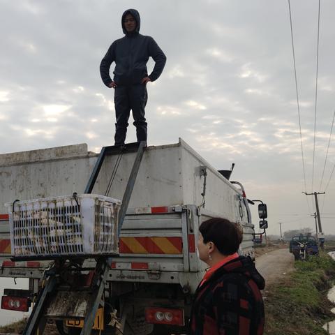 21号从武汉回安徽需要报备吗？