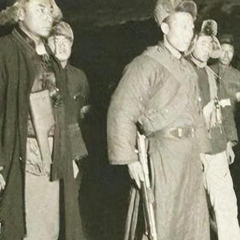 哈尔滨市的狗肉多少一斤