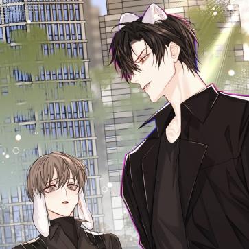 微商肌楚面膜怎么样的长尾关键词有什么