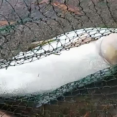 沈阳市钓鱼场地址在哪个位置
