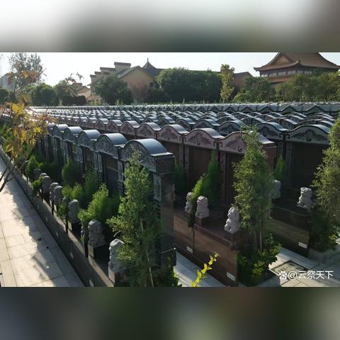 盘点上海户口上外地牌照相关关键词有哪些