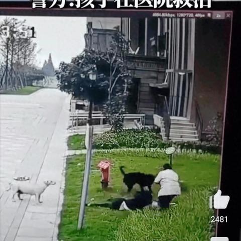 成都市内带狗旅游地点有哪些