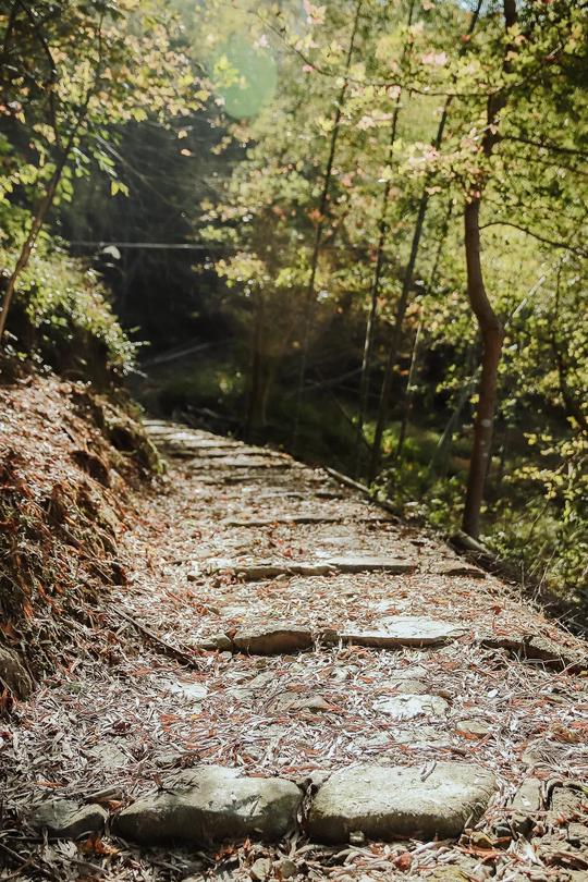 一条冷门千年古道！“一村两县”奇景、限定“枫叶红”
