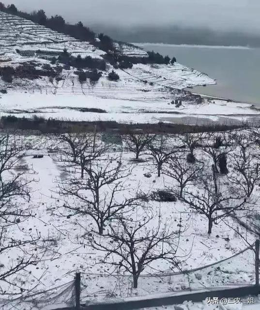 倒春寒下雪的说说朋友圈