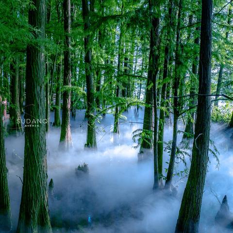 武汉市有什么山可爬的