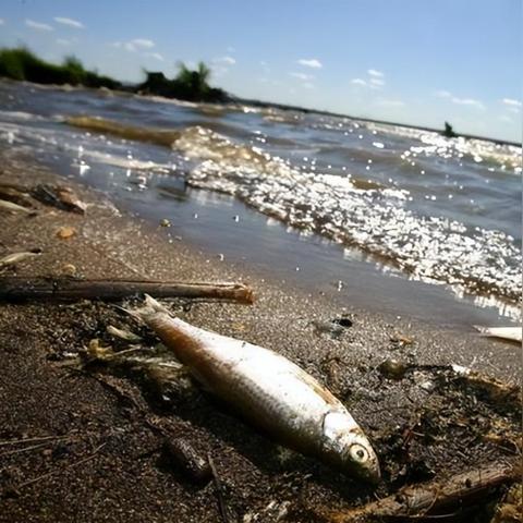 福建公众号怎么样关注