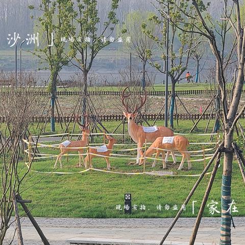 武汉樱花大道的长尾关键词有什么