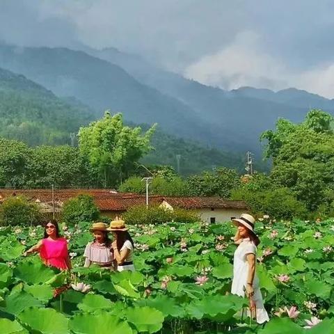 广州市最高什么山