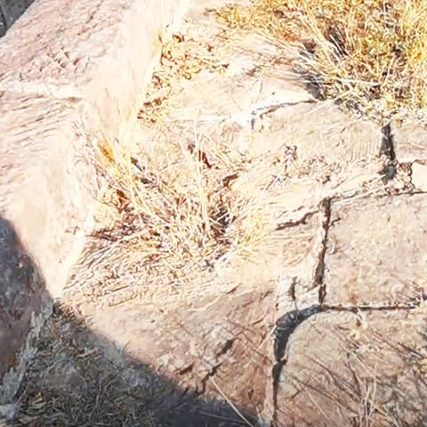 武汉通道放开的相关长尾关键词有哪些