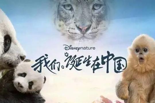 海带艺考丨四季变换与生死变迁一一浅析纪录片《我们诞生在中国》