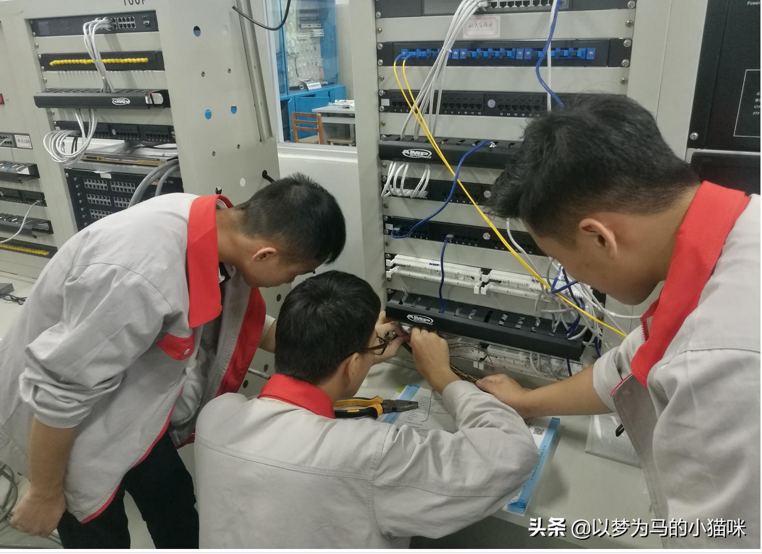 学大数据专业后悔死了（我们生活中的哪些方面属于大数据范畴）