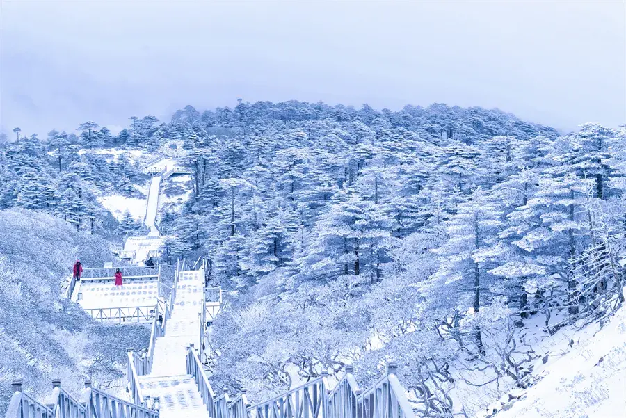 发的抖音被收录了怎么找回 作品被抖音收录了怎么删除