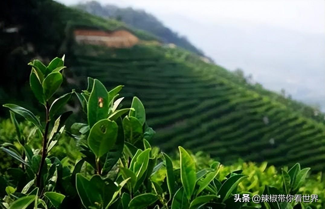 信阳固始有什么美食（你了解客家吗）