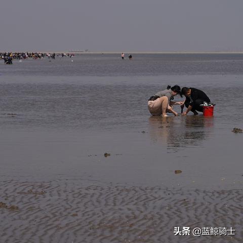 天津赶海工作怎么样