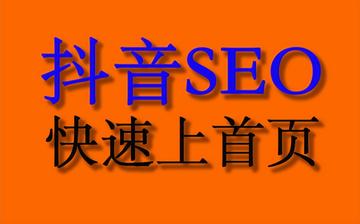 抖音seo公司