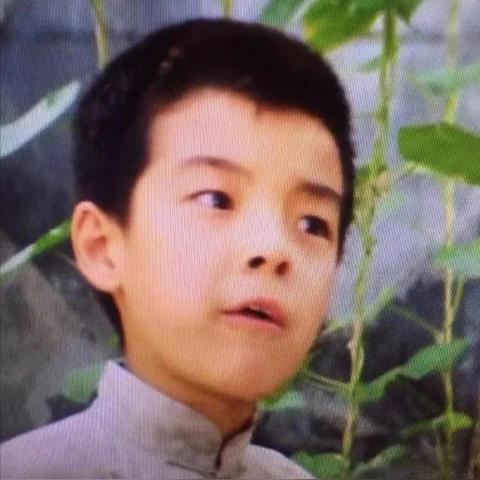 临沂市中考题骆驼祥子的长尾关键词有什么