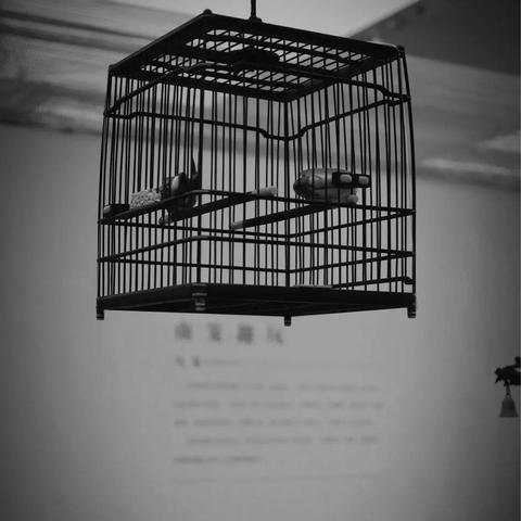 [秋游苏州诗]长尾关键词有什么