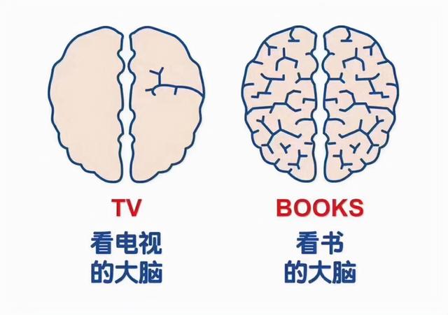 为什么孩子的专注力差