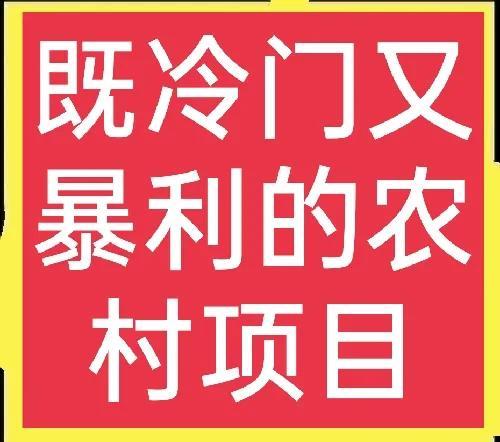分享几个既冷门又赚钱，而且一般人想不到的高利润项目