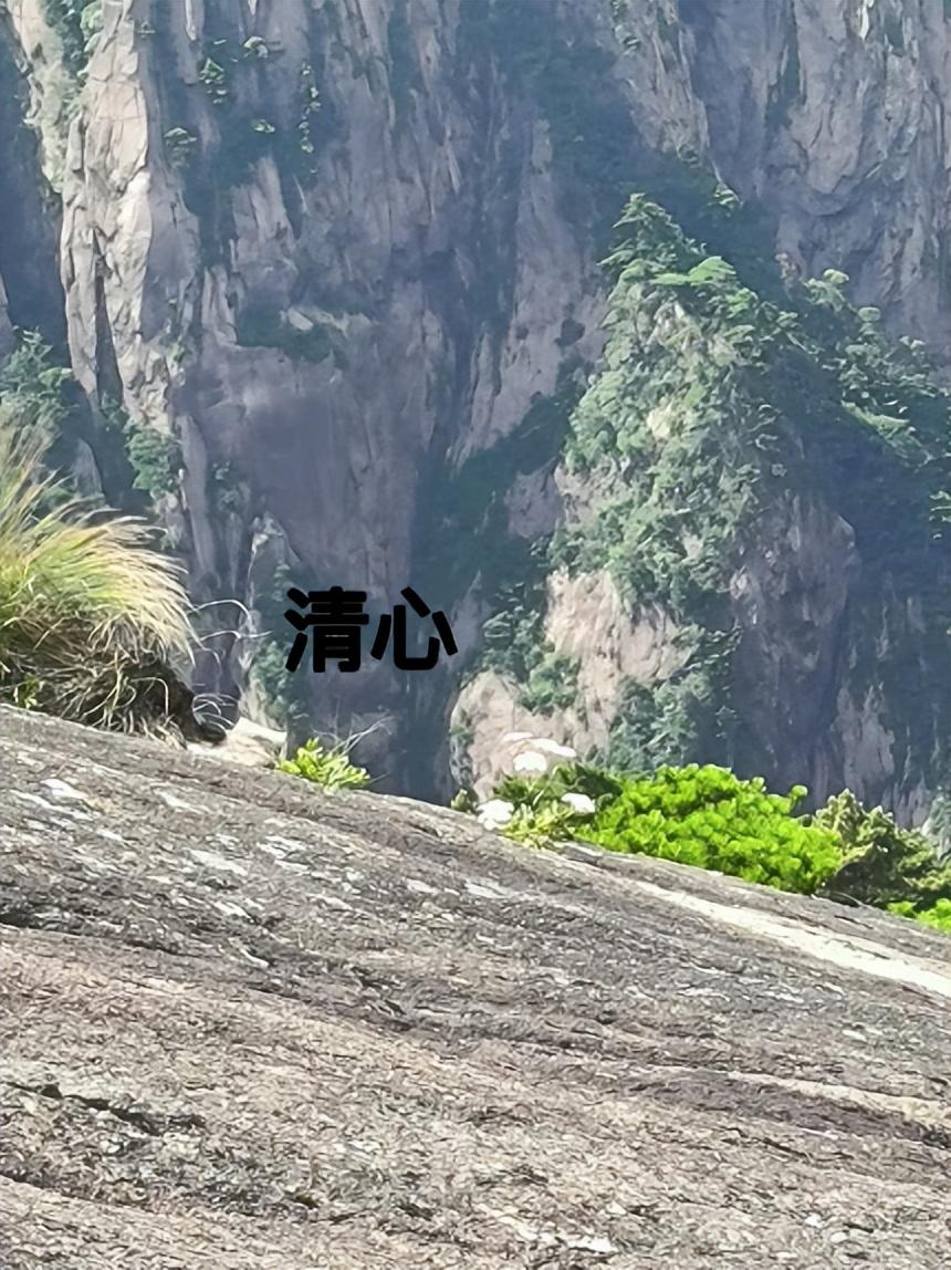 原神怎么点亮五种霄灯(琉金之章这个任务怎么开启)