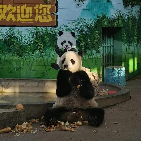 【天津动物园旁边的餐厅】长尾关键词有什么