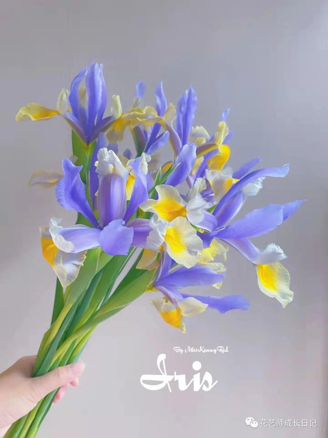 小红书起名宝宝起名怎么取(平价小众的口红品牌都有哪些)