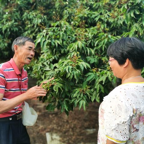 东莞市医保卡去哪里激活