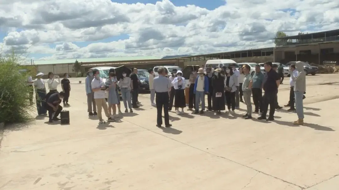 怎么挑选shopee 做跨境电商shopee怎样挑选