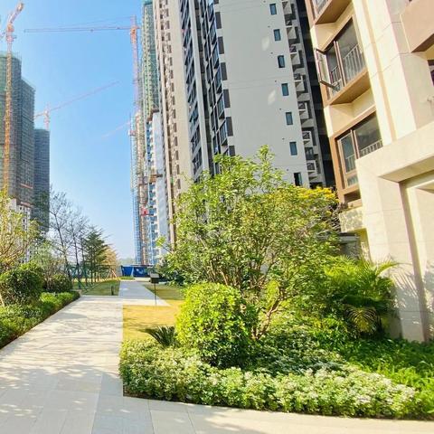 广州佛山市哪里买房好