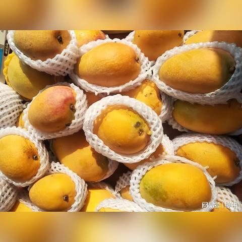 水果贩子都在哪里找货源