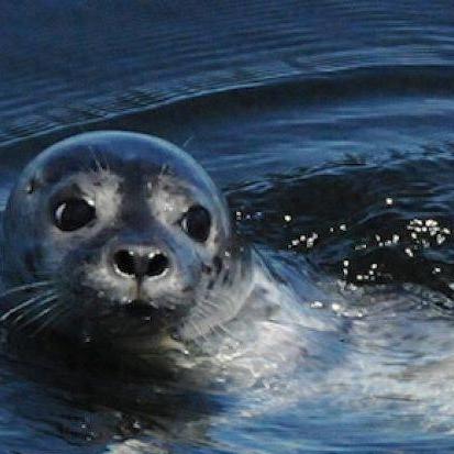 详细阅读:安卓手机游戏(安卓手机游戏,探索无尽乐趣的海洋) 安卓手机游戏(安卓手机游戏,探索无尽乐趣的海洋)