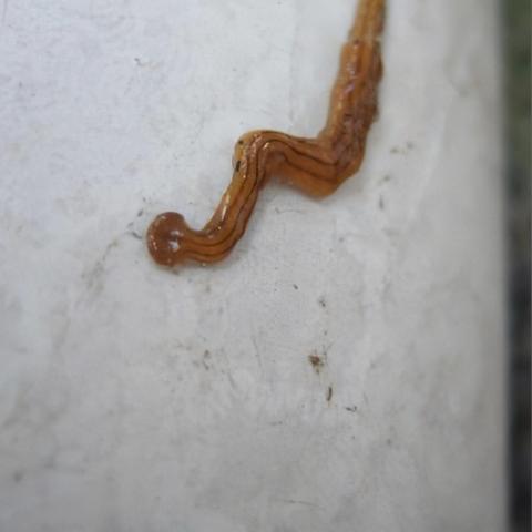 哈尔滨青少年皮肤医院相关长尾关键词有哪些