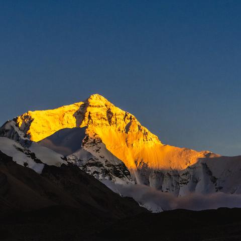 河南省生物科技公司的相关长尾关键词有哪些