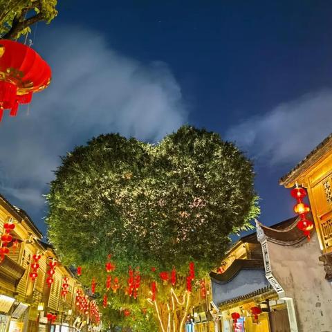 福建小区里都种什么树