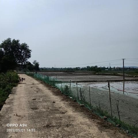 汉川马口会划到武汉吗？