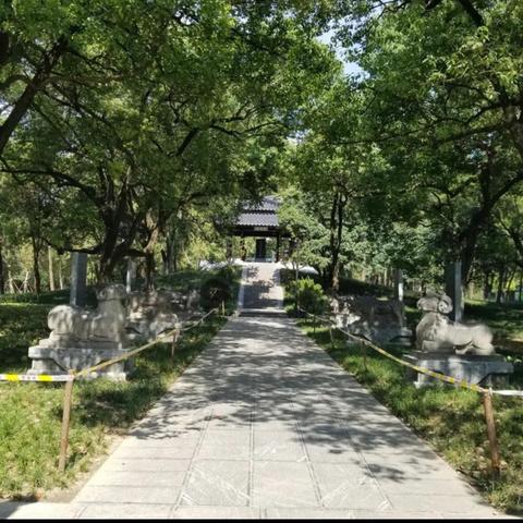 合肥市也叫什么市区名字