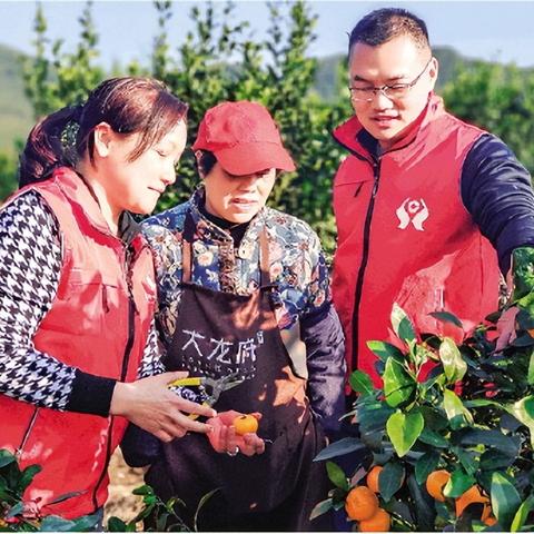桂林市农商行工资怎么样