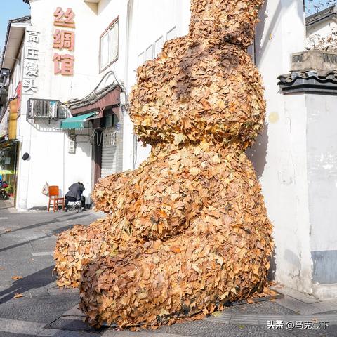 杭州兔狗招聘的相关长尾关键词有哪些