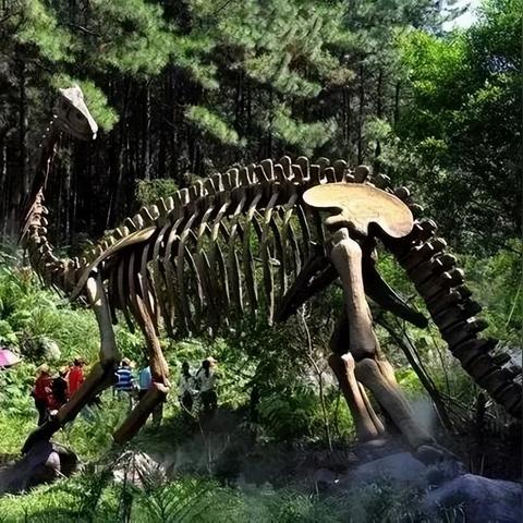 佛冈到广州多少公里？