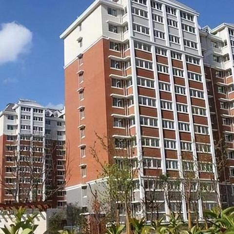 上海情感纠纷栏目有哪些