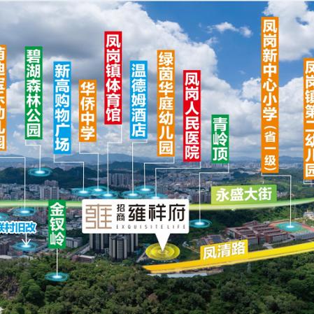 东莞市社保电脑号怎么查