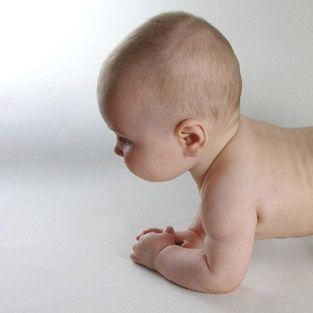 兔年生肖美女运势怎么样(生肖兔女命运如何)