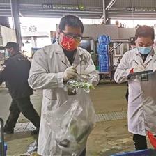 宁波 商贸的相关长尾关键词有哪些